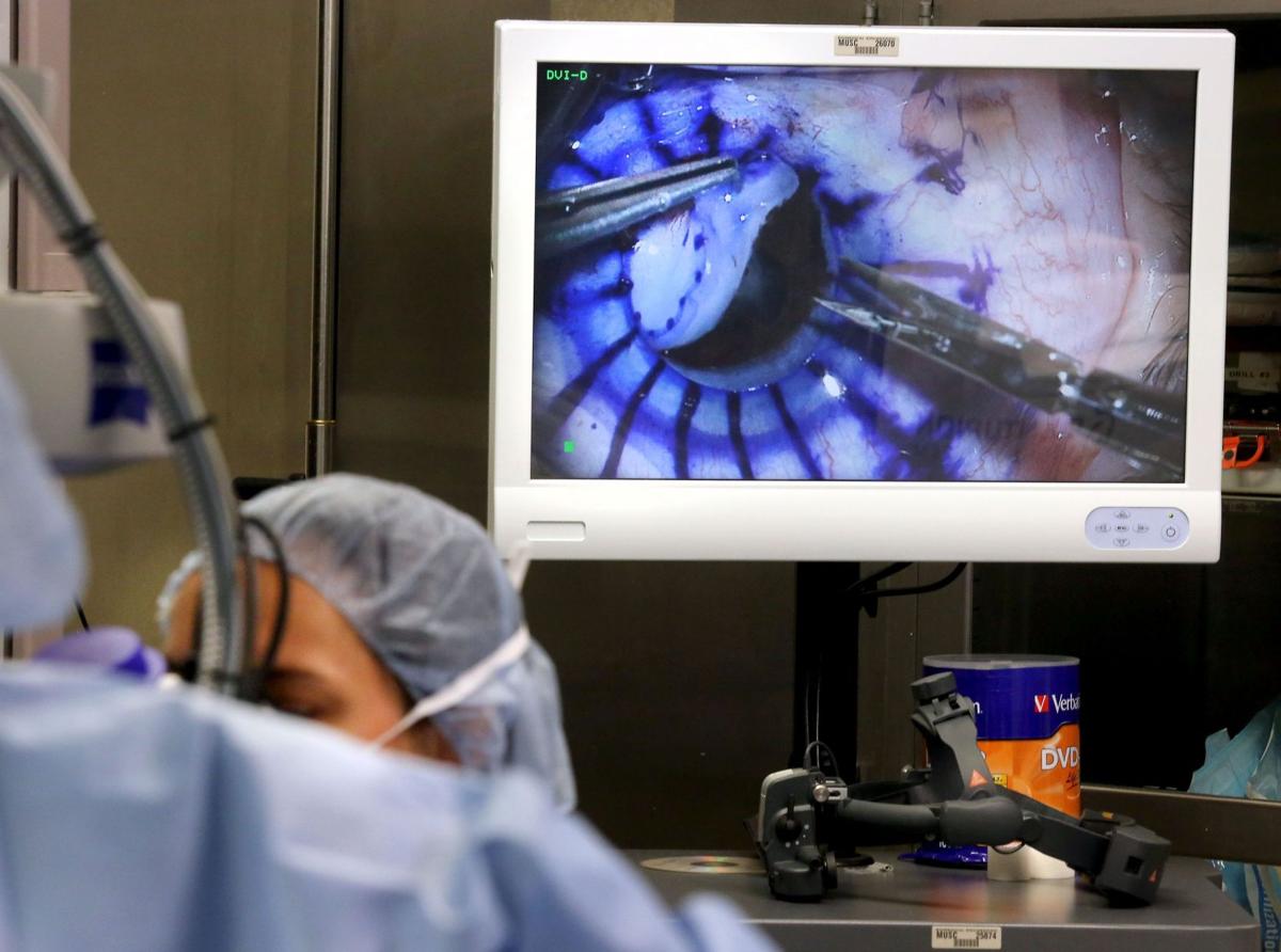 Cornea transplant essay 08 picture