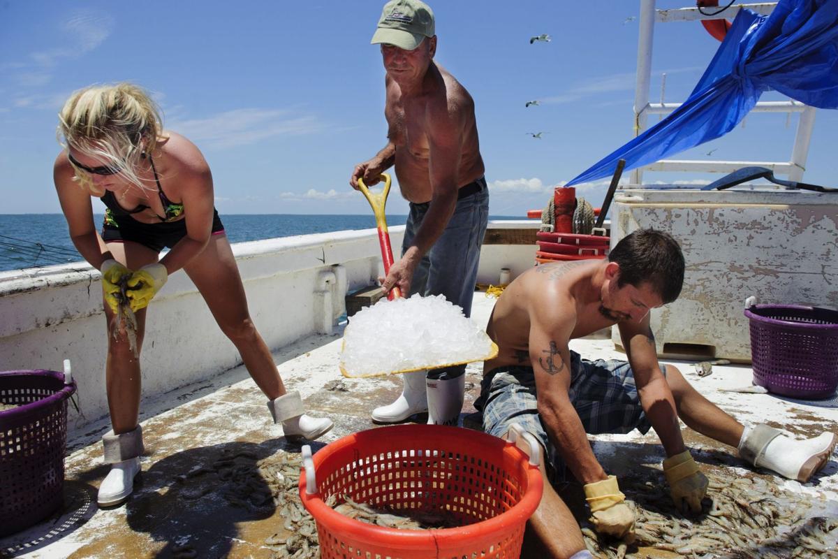 Shrimping on the Winds of Fortune