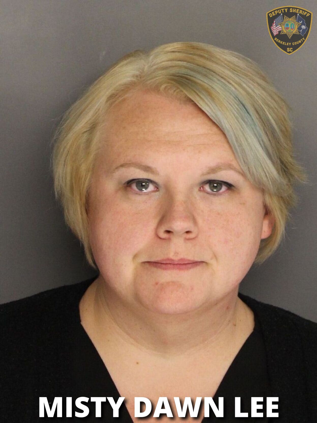 Berkeley County Arrest Inmate Search - 3km95vx