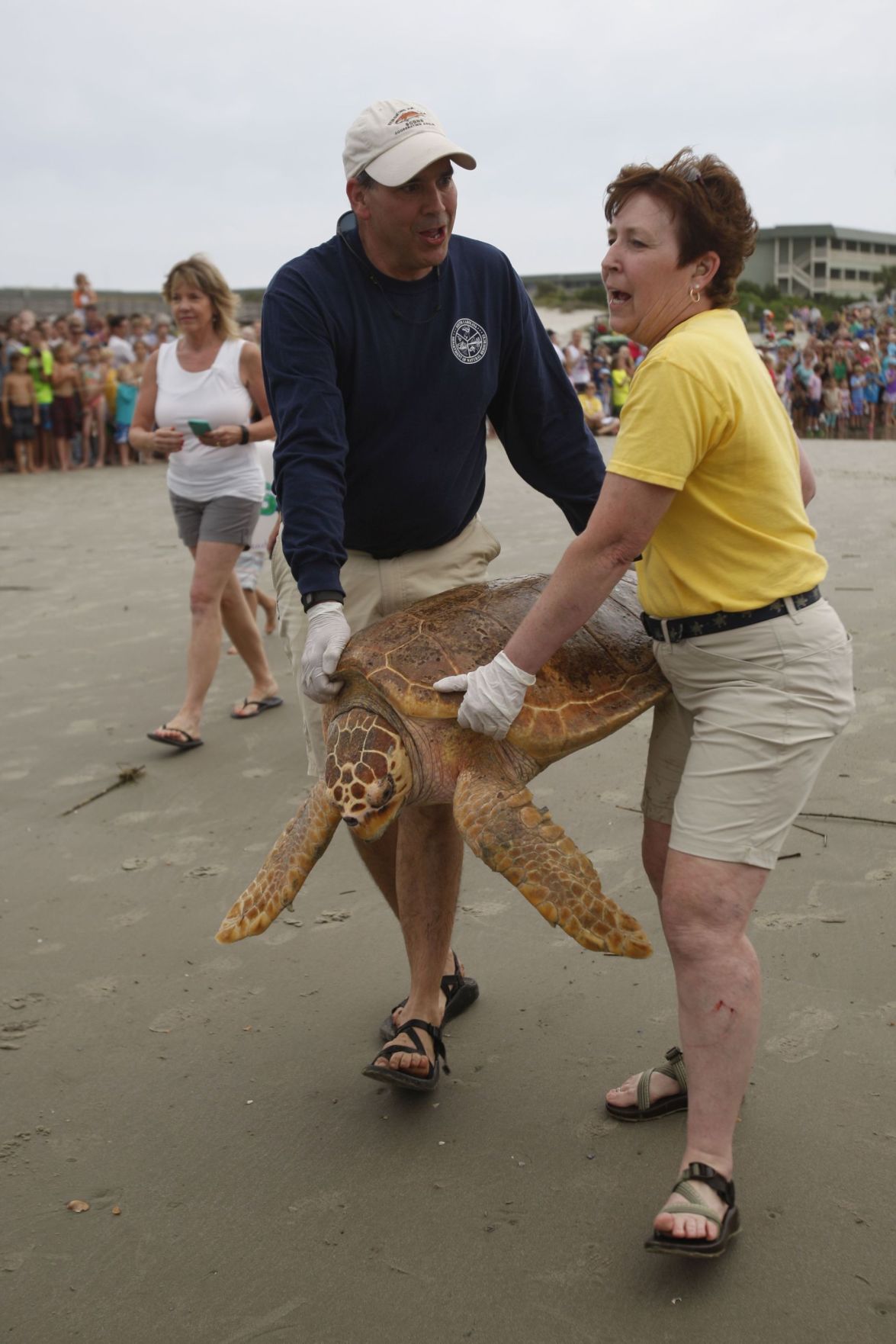 South Carolina Aquarium releases five loggerheads