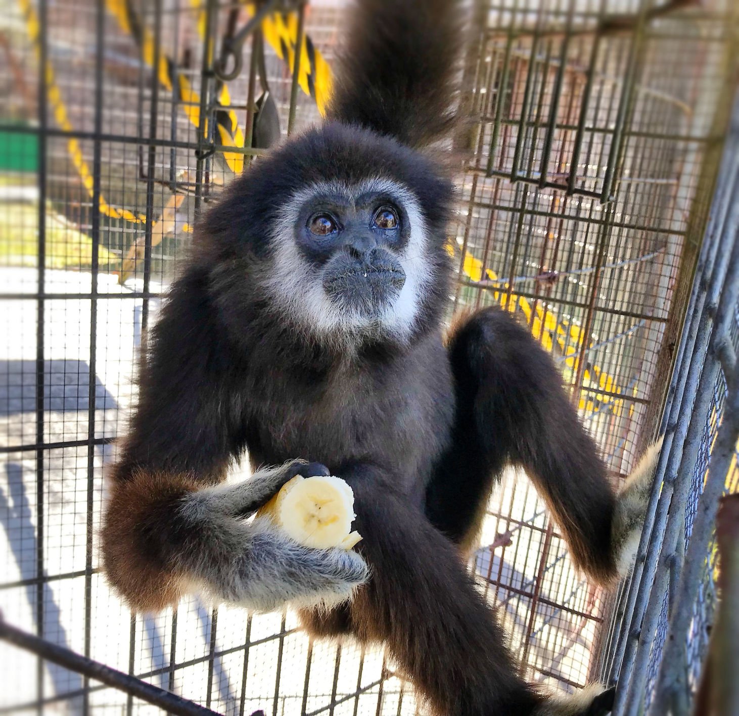 5d82394f52117.image.jpg?crop=