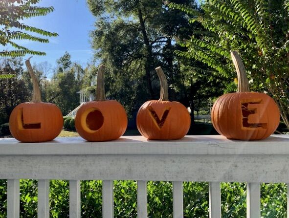 pumpkins sunday.jpeg