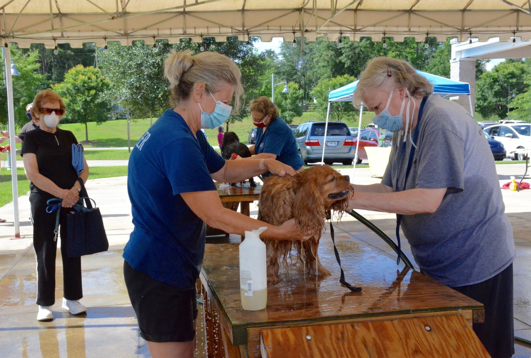 spca albrecht center