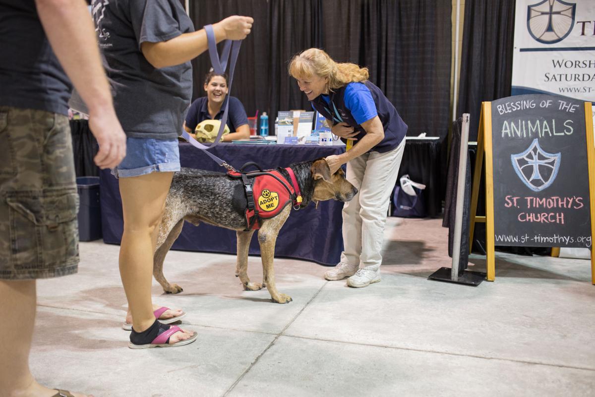 Pet Expo-October 14, 2017-754