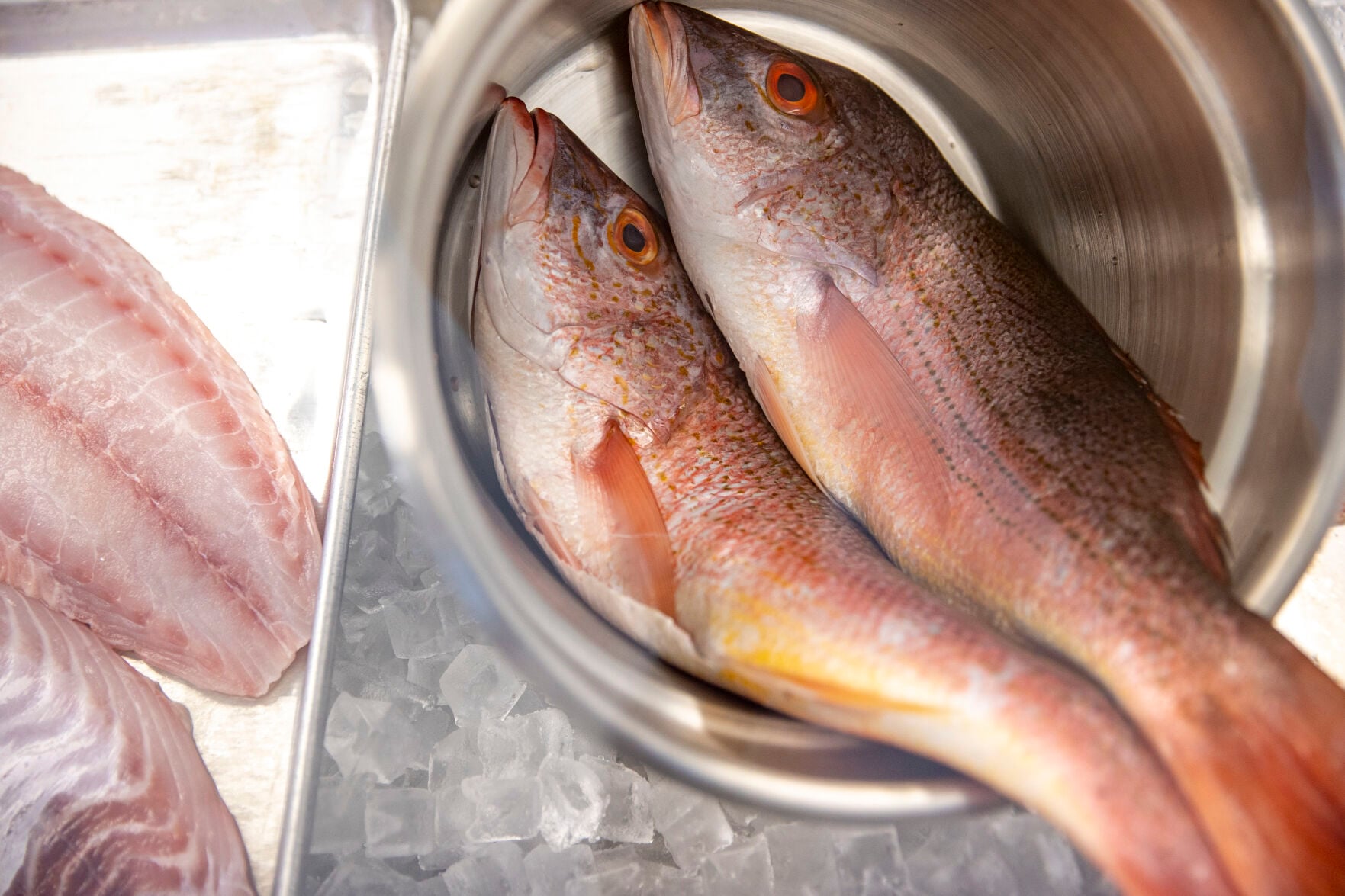 Extended red snapper season halted by court order