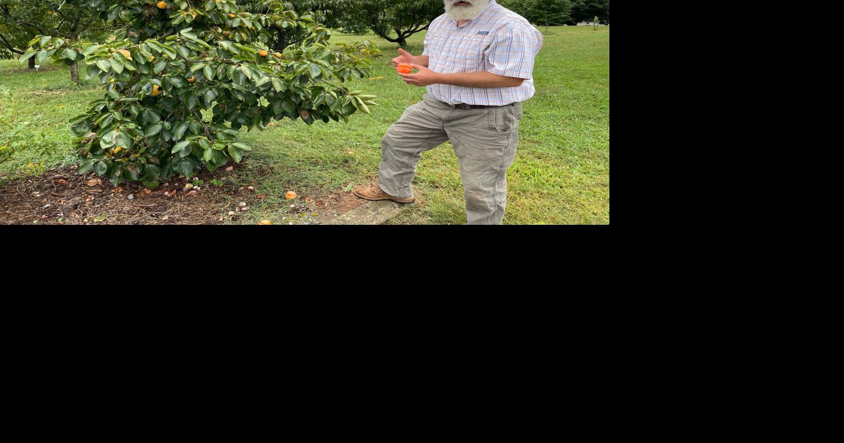 Spartanburg Community College offers fall gardening tips | Spartanburg News