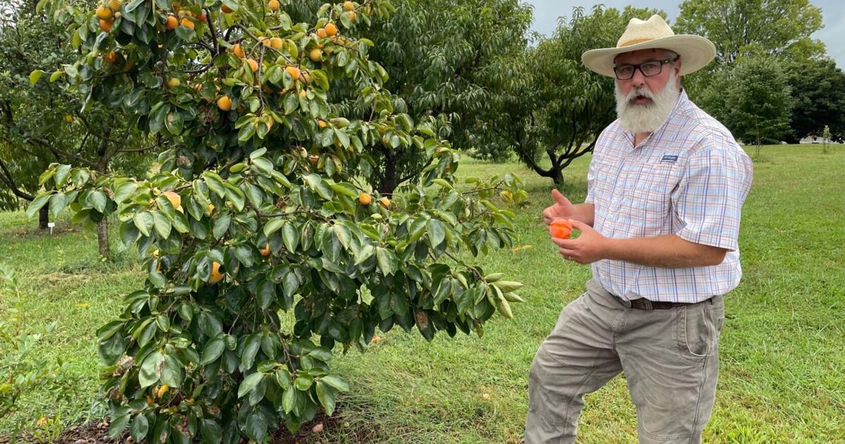 Spartanburg Community College offers fall gardening tips | Spartanburg News Spartanburg Community College offers fall gardening tips | Spartanburg News