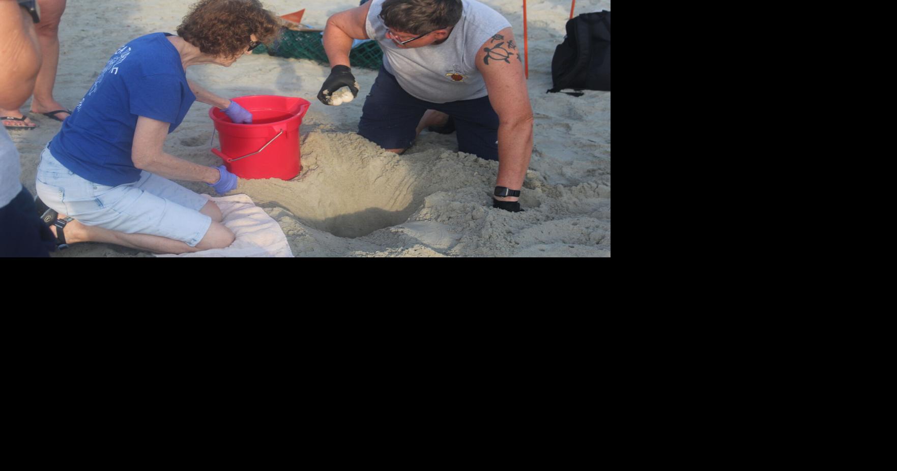 Turtle Team finds two loggerhead nests, false crawl on early morning patrol