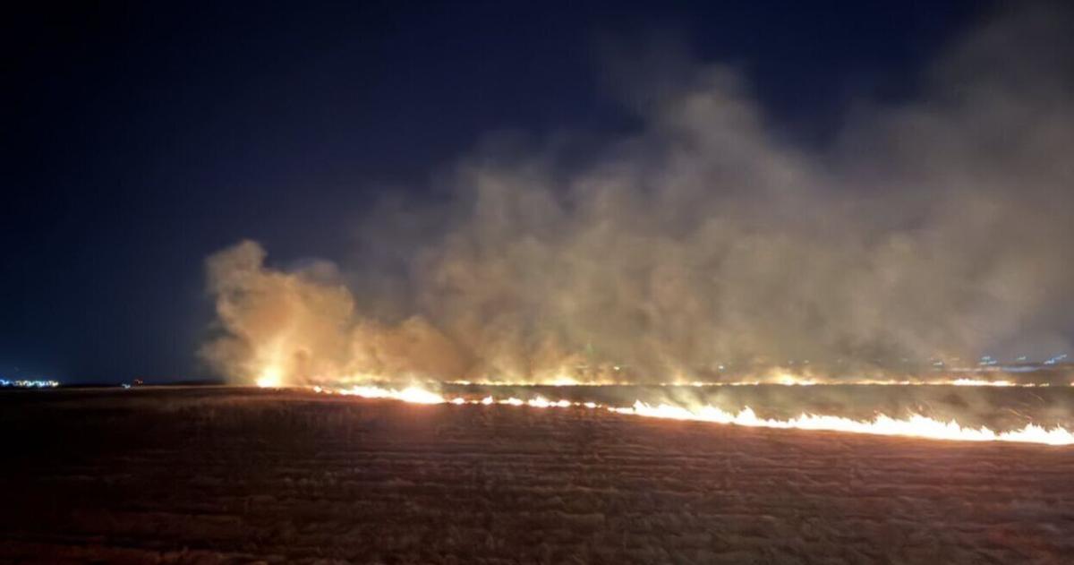 Fire Post Vic Police: Charleston man arrested for Laurel Island brush fire