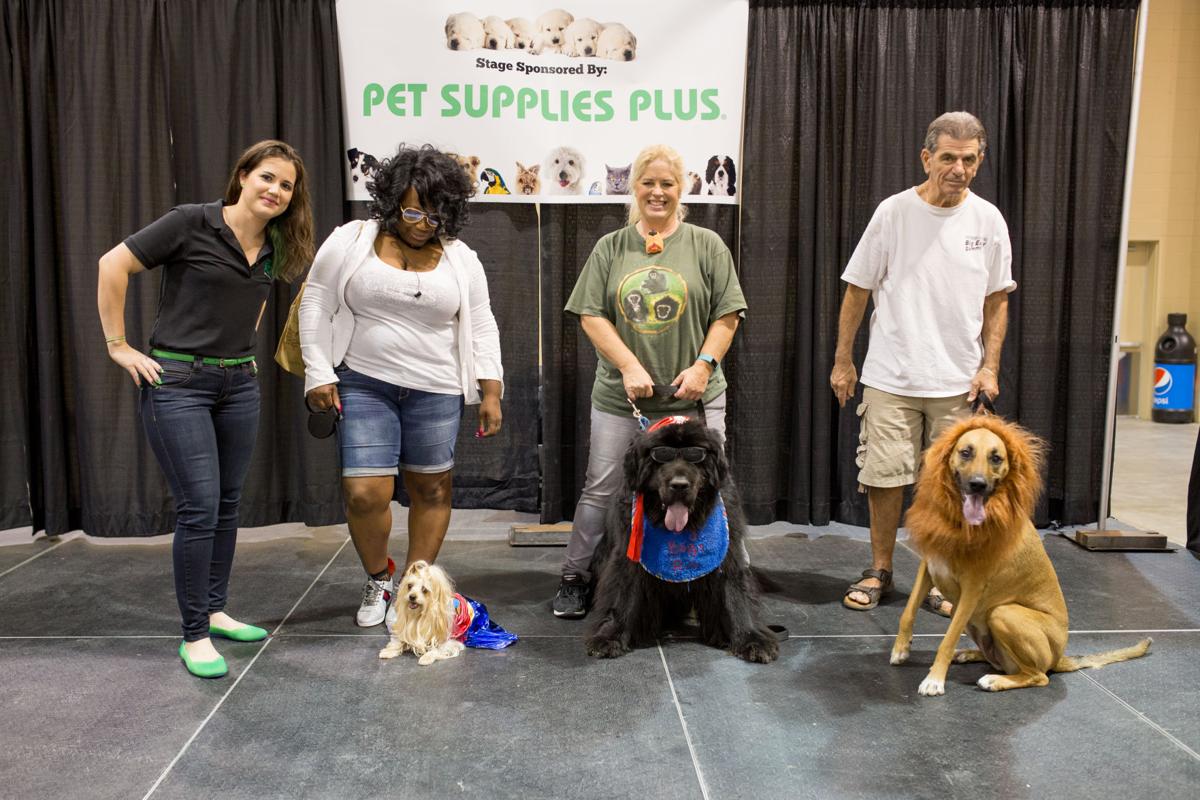 Pet Expo-October 14, 2017-654