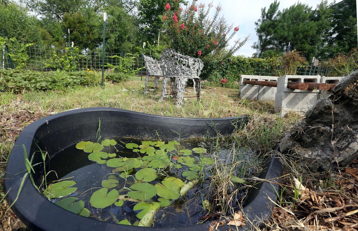 Permaculture