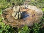 Gardening: Do-it-yourself Hypertufa sculptures require few ingredients