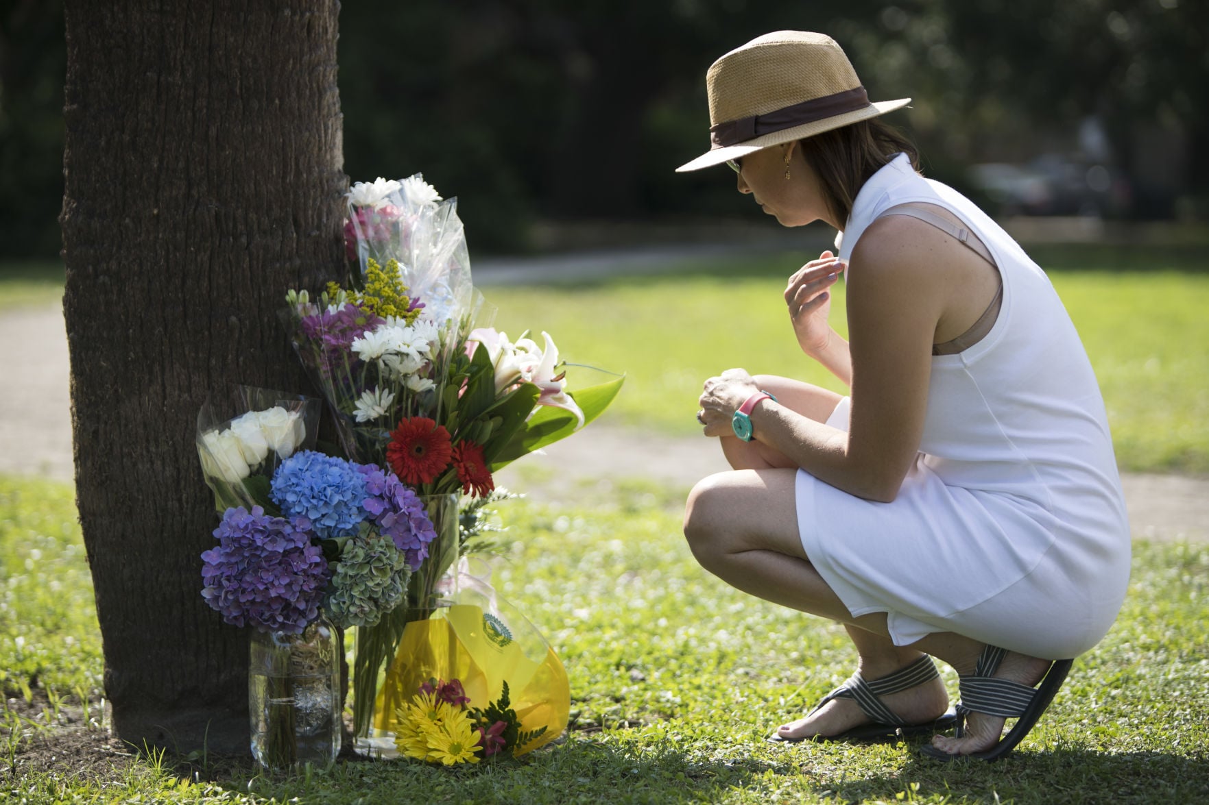 Man who fatally struck 11-year-old tourist in downtown Charleston pleads guilty, sentenced - Vimarsana News