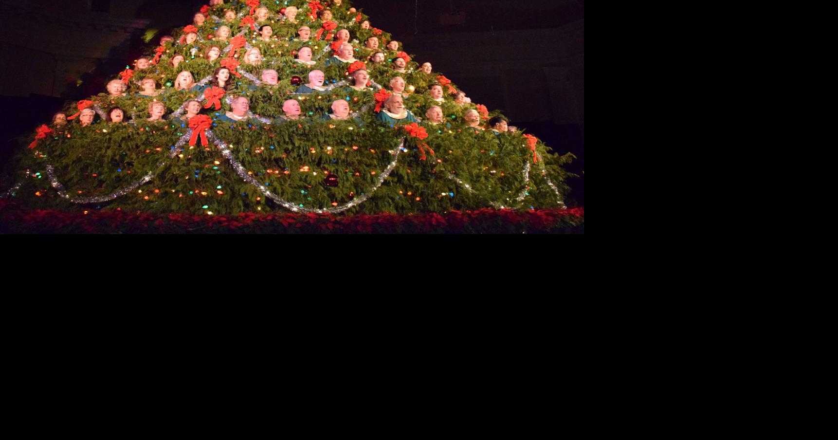 Sc Christmas Music Summerville Area Churches 2022 Singers Needed For Living Christmas Tree | Community | Postandcourier.com