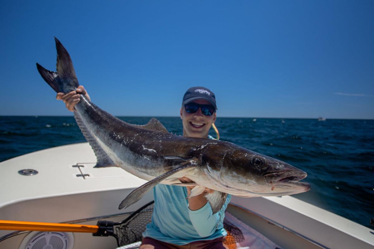 Charleston angler sees cobia get away with rod and reel before