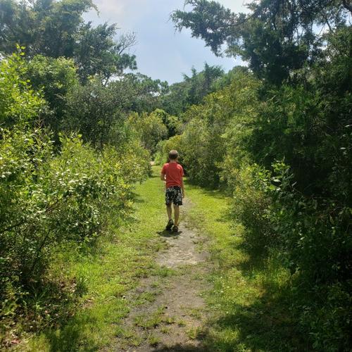 Huntington State Park is rich in wildlife, nature and history Local Attractions