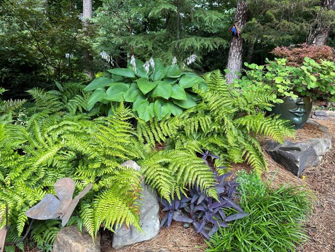 How to create stunning garden vignettes