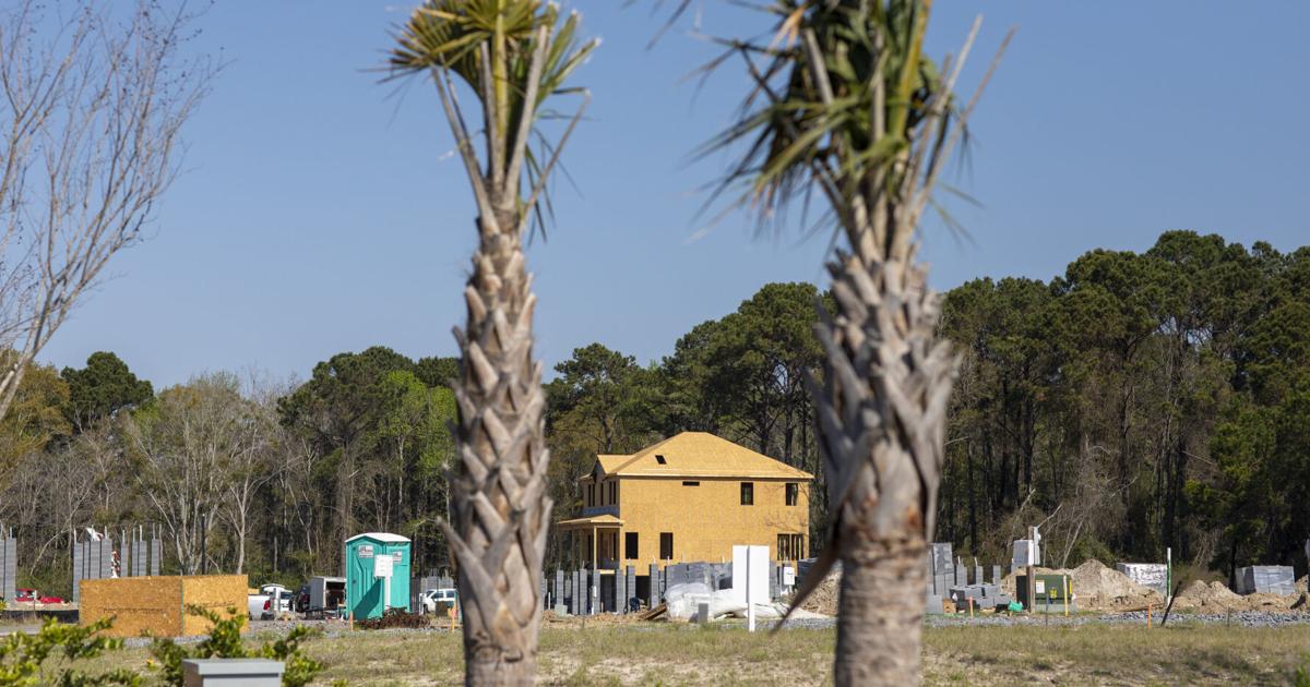 Development ban in Charleston, Mount Pleasant historic communities ends soon. Will it be extended?