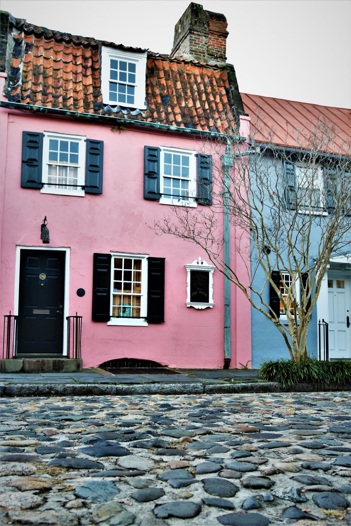 pink mcgue.JPG