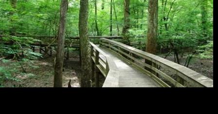 Ready to get out of the house? Here are five must-see spots | Pee Dee - Vimarsana News