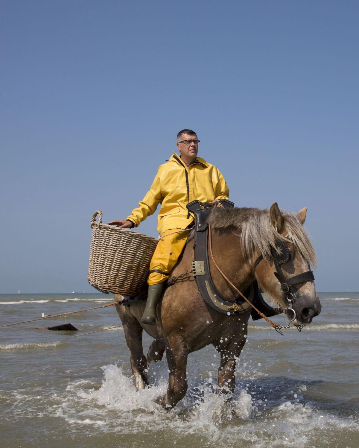 Shrimping on horseback