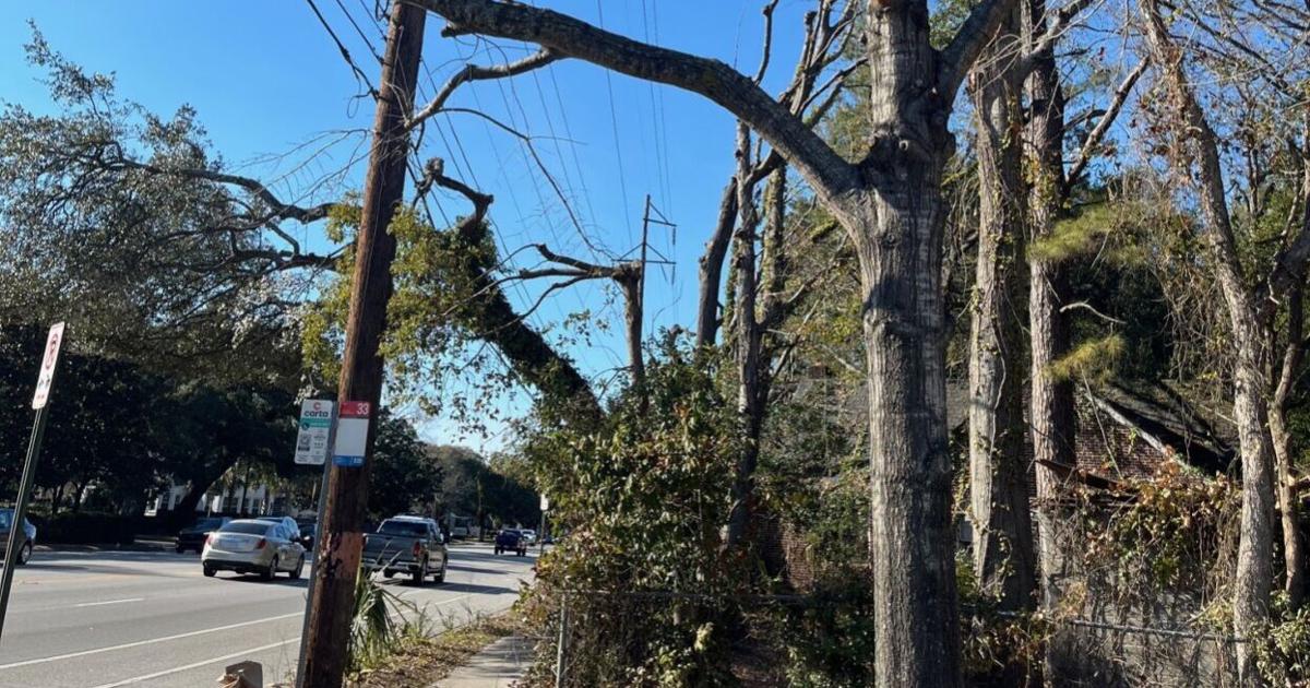 Dominion Tree Dominion trims Charleston trees to accommodate power lines