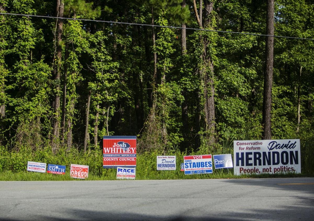 scprimaryelection_10.jpg