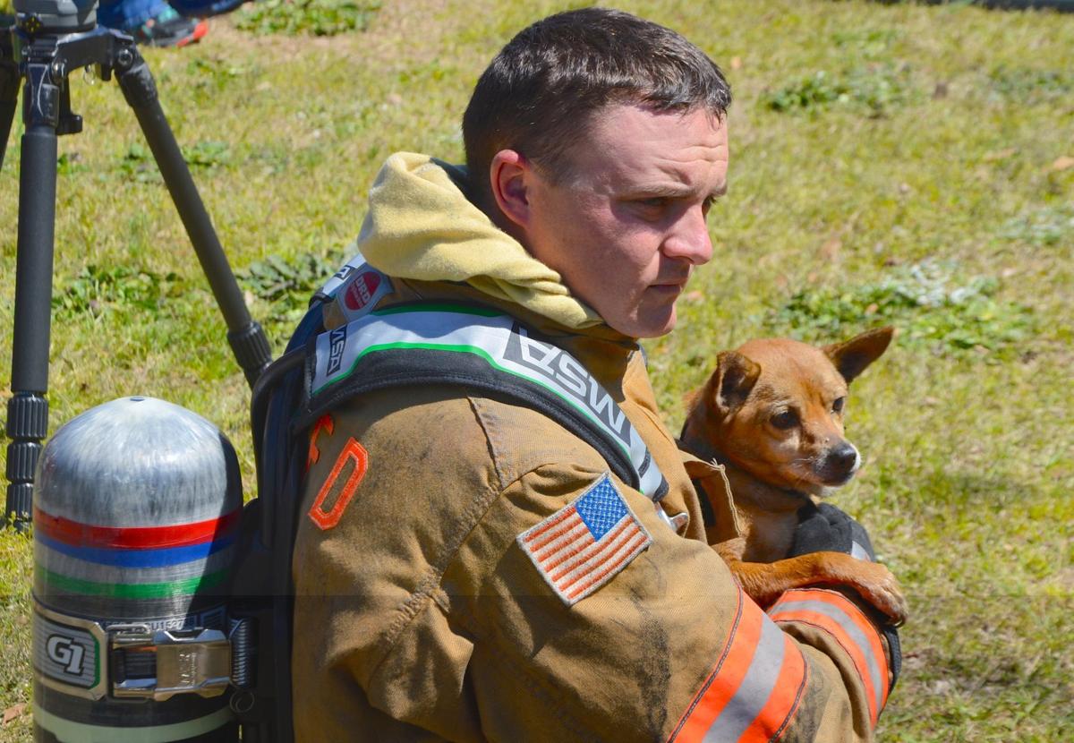 4. Dog saved from Brownstone Drive fire