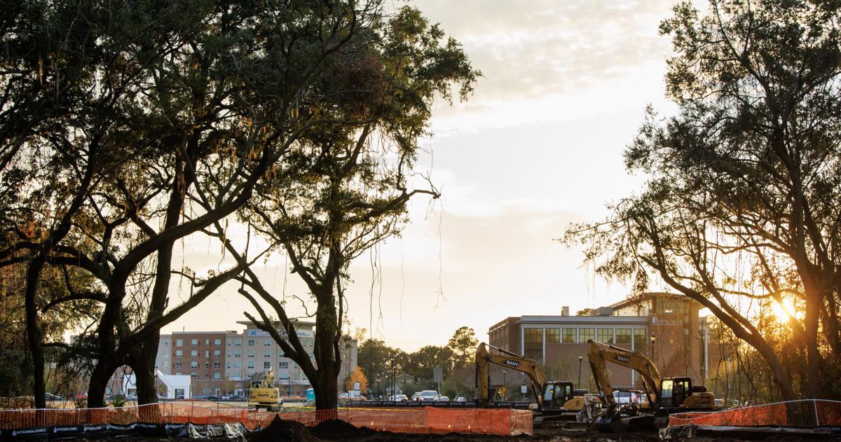 For 100 years, an oak tree stood in Mount Pleasant. Soon it will be moved.