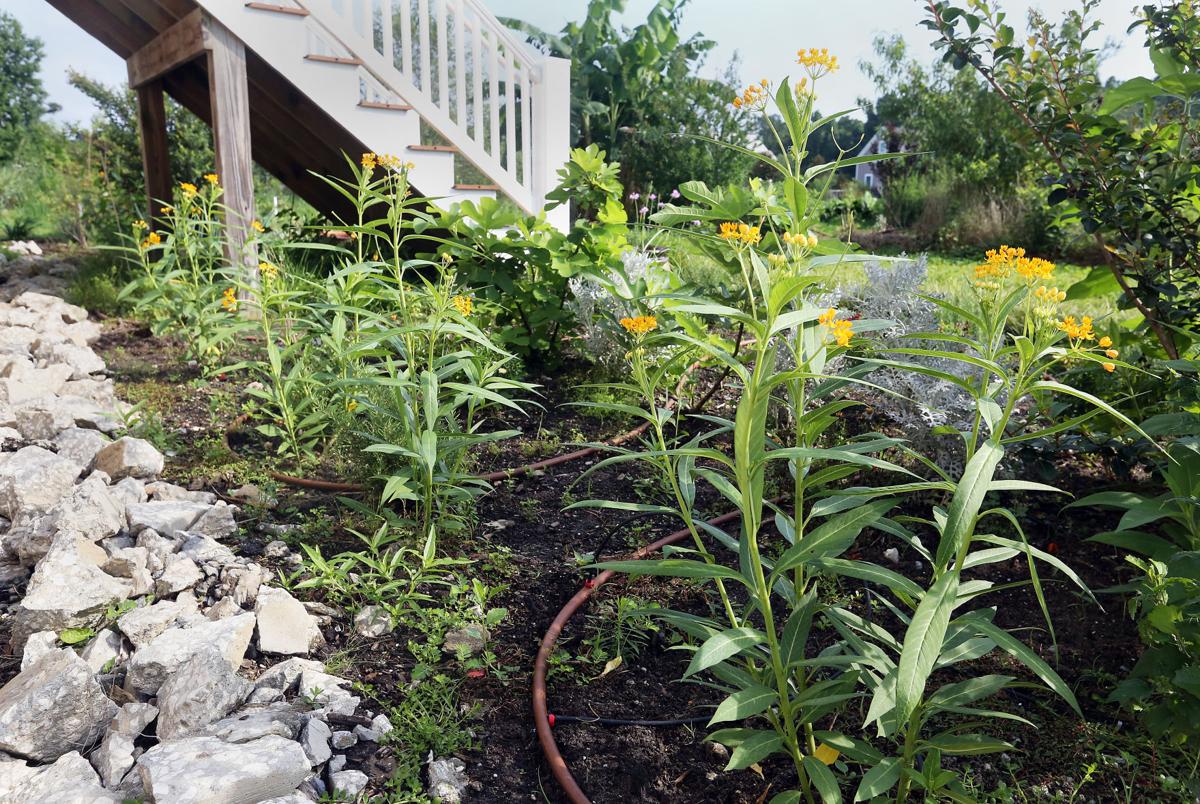 Permaculture