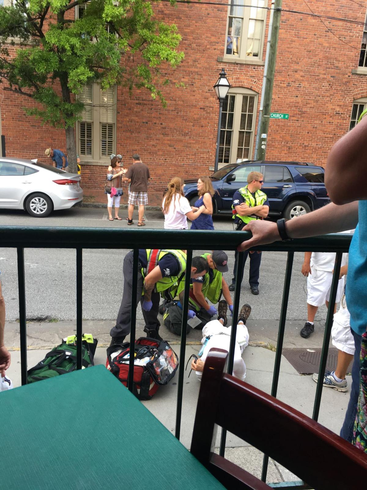 T.rex, horse incident 2