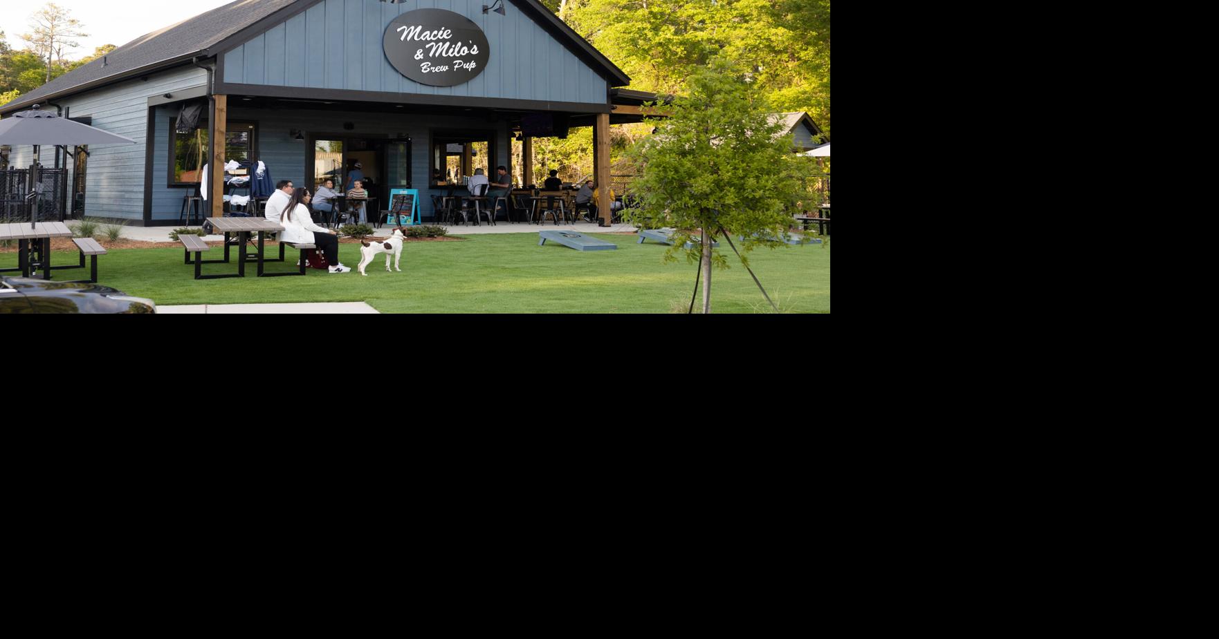 Bark bar: A look at the new dog park, bar and restaurant now open in Lexington