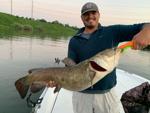 La captura de un bagre récord del estado siempre es posible en Santee Cooper lakes