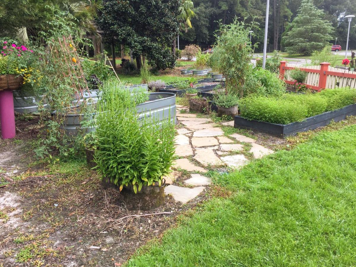 Gardening Online Classes Workshops Offer Flexibility To Learn About Landscaping Gardening Columnists Postandcourier Com