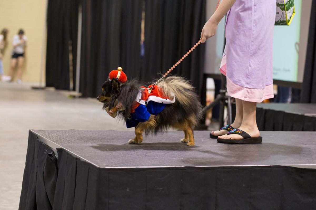 Pet Expo-October 14, 2017-884