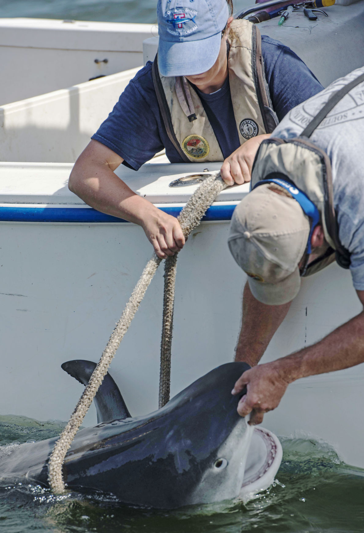 Feds State Investigate Whether Edisto Shark Fishing Tournament with regard to fishing tips edisto beach with regard to Found Property Feds State Investigate Whether Edisto Shark Fishing Tournament with regard to fishing tips edisto beach with regard to Found Property