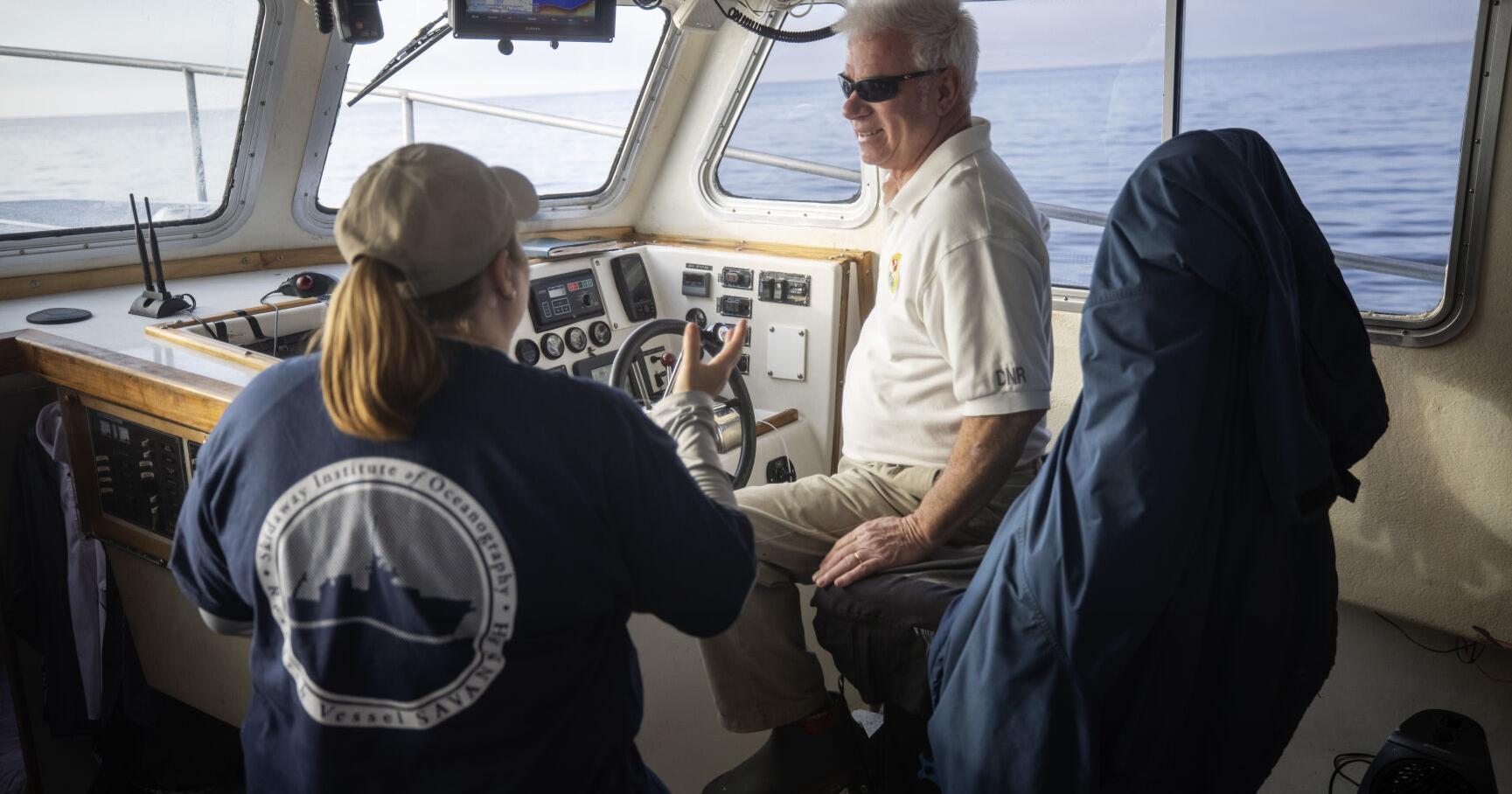 NOAA should enact vessel speed rule to protect right whales | Editorials - Vimarsana News