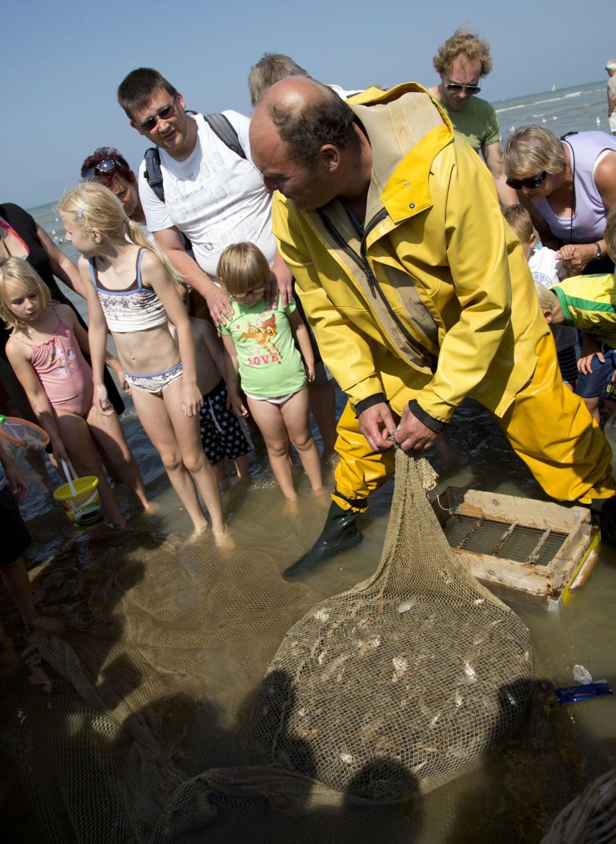 Shrimping on horseback