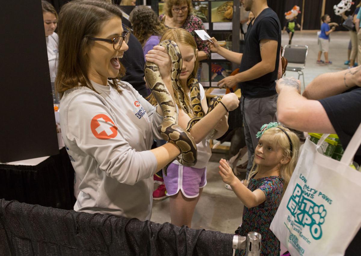 Pet Expo-October 14, 2017-729