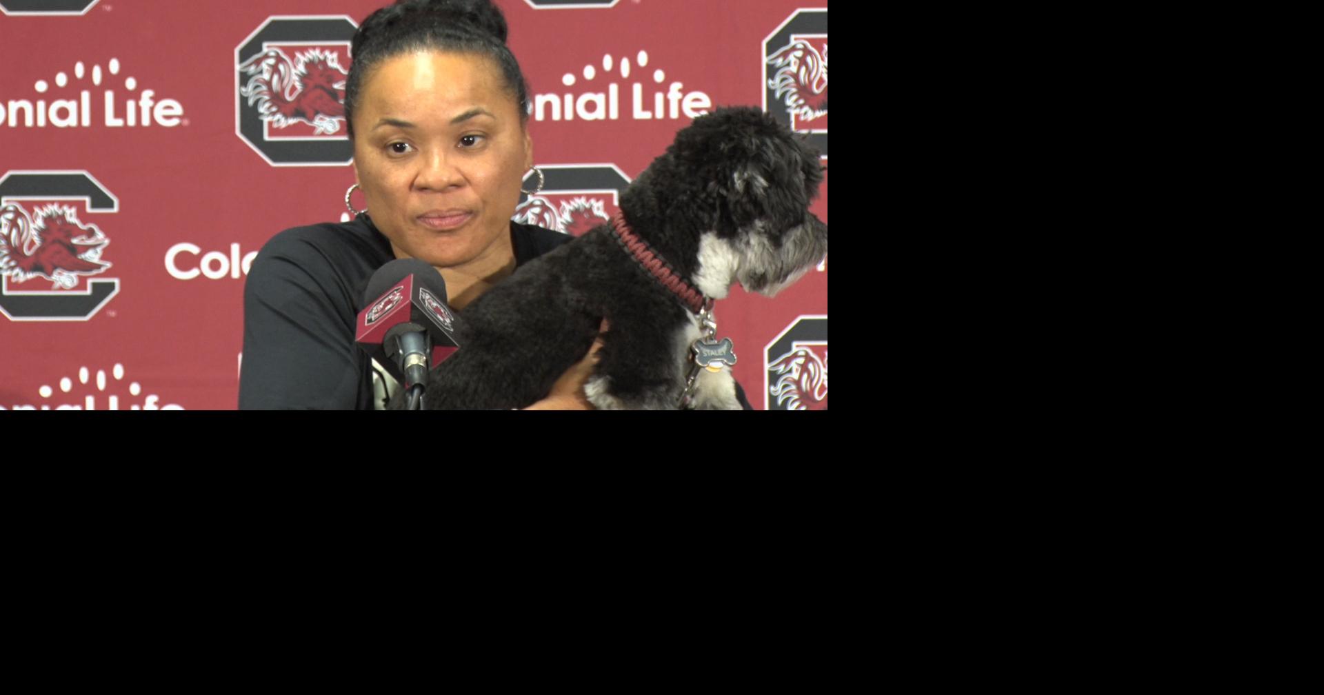 Dawn Staley's dog Champ has his own legion of South Carolina fans