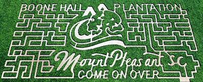 Town slogan carved into corn