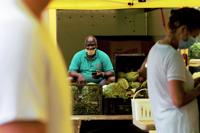 Charleston Farmers Market returns to Marion Square with limited vendors, buyers