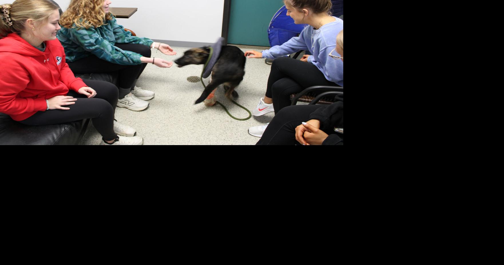 College students in Aiken volunteer their time in the spirit of Martin Luther King Jr. Day