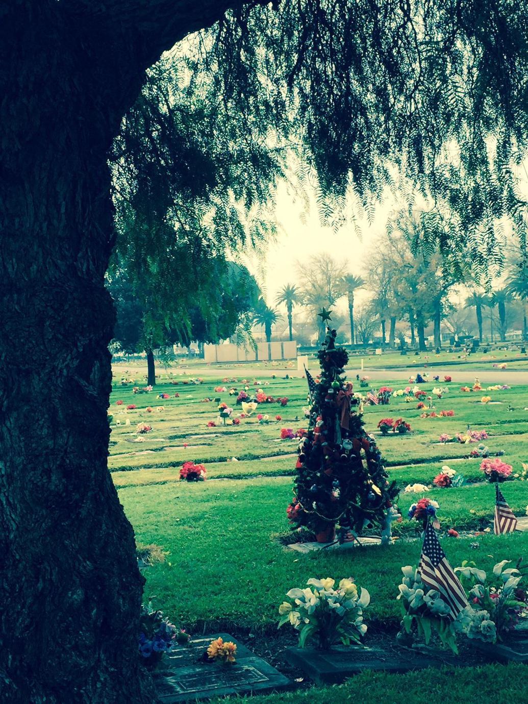 Keeping spirit of holiday Christmas tree set up in cemetery Faith and