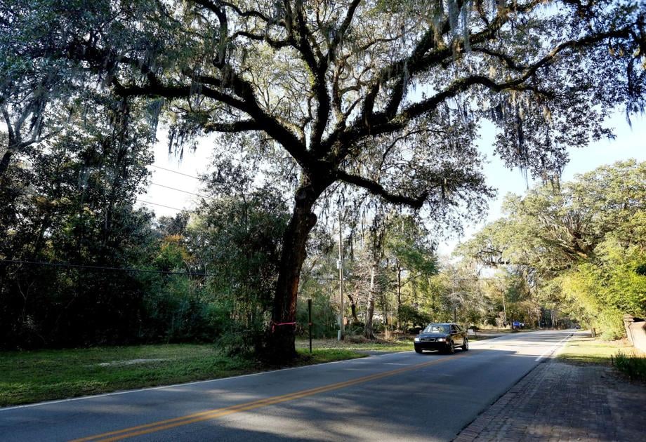 48 Acre Site On Johns Island Will Be Preserved Not