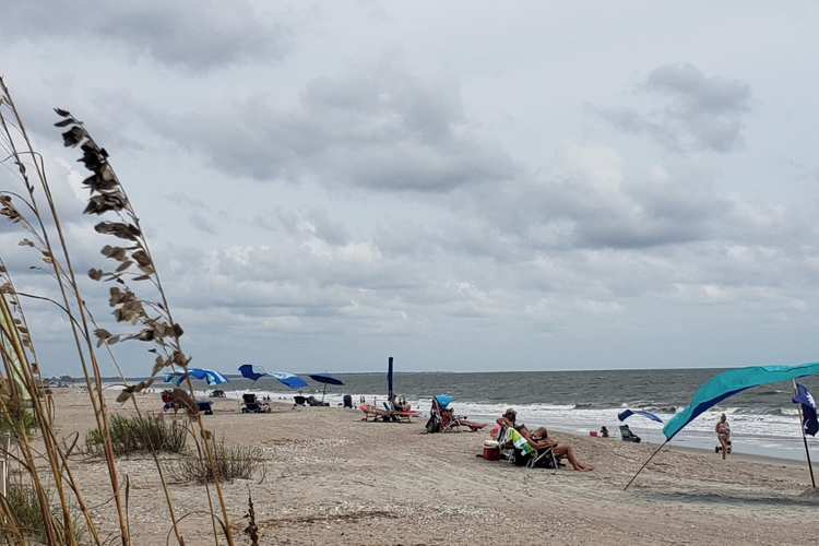 Exploring the Lowcountry A day on Edisto Island Local Attractions