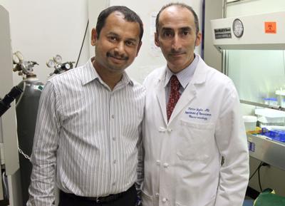 Study Shows Garlic May Shrink Tumors David Quick Postandcourier Com