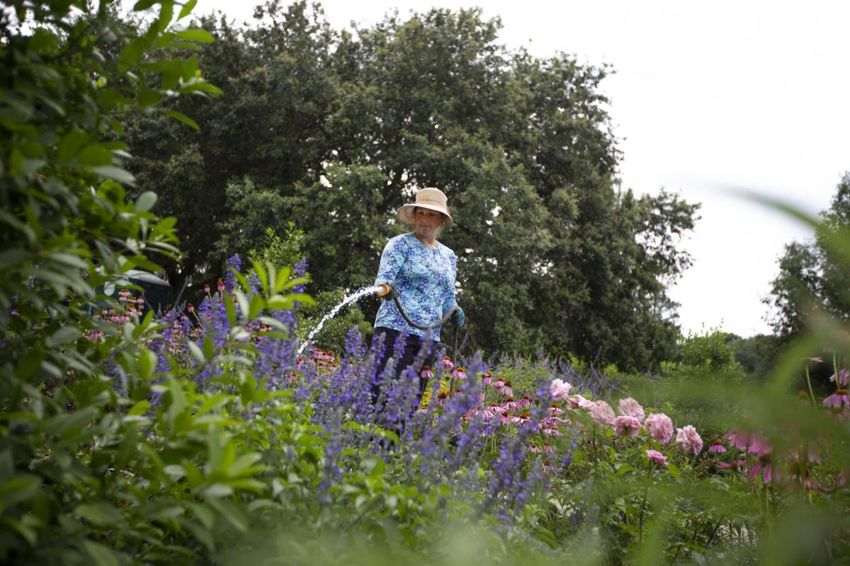watering.jpg