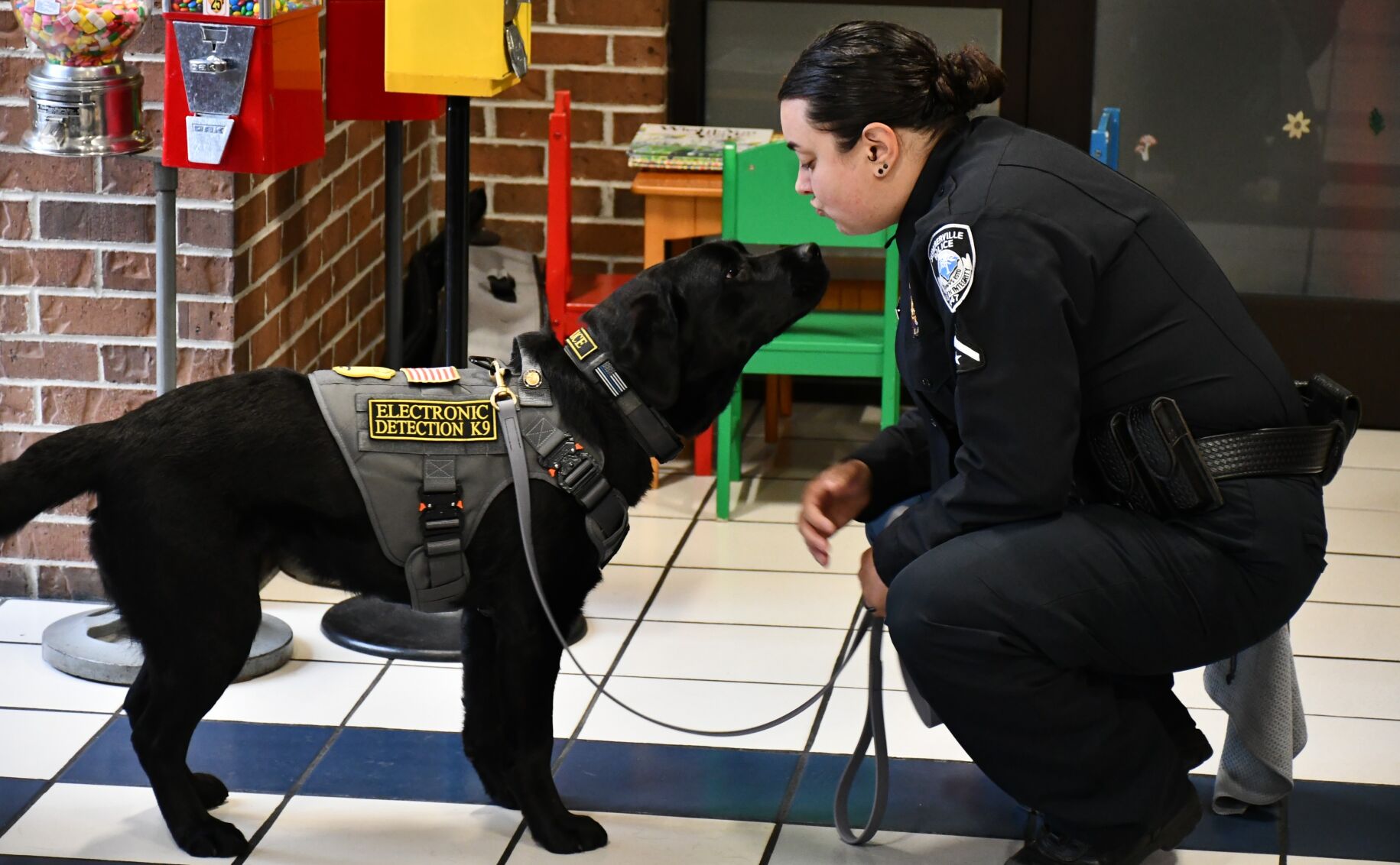 Electronic detection k9 store training