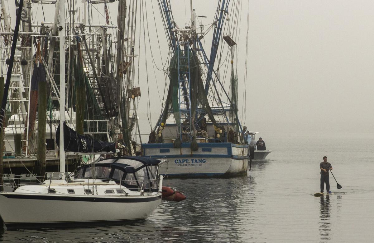 FOGGY WEATHER07.JPG